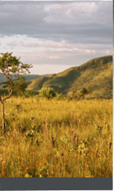 Quadro da exposição 