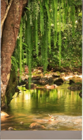 Quadro da exposição 