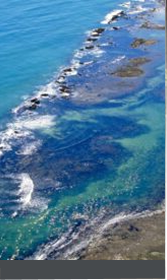 Quadro da exposição 