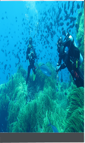 Quadro da exposição 