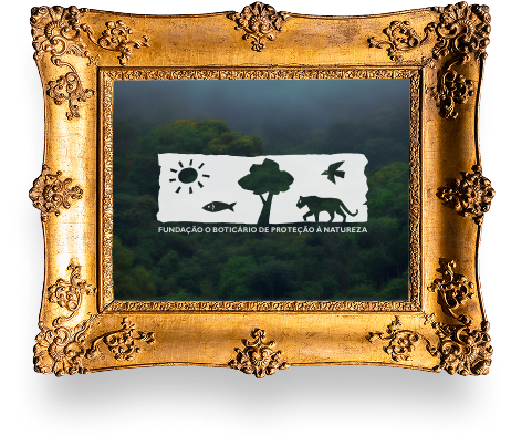 Quadro biodiversidade