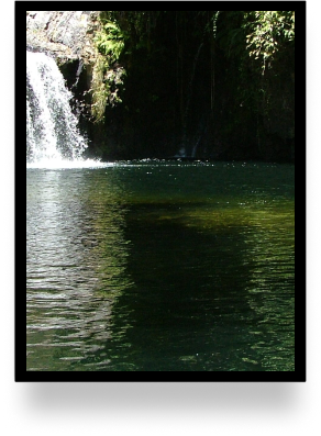 Quadro biodiversidade