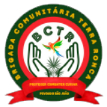 Emblema da Brigada Comunitária Terra Ronca. O logo traz mãos abertas protegendo uma planta ao centro, com um pássaro colorido sobrevoando. A borda verde do círculo contém o nome da brigada em amarelo, e uma faixa vermelha na parte inferior exibe o lema “Proteger, Combater, Cuidar – Porque são mãos”.