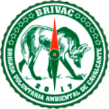 Selo da BRIVAC – Brigada Voluntária Ambiental de Cavalcante. O logo circular em verde e branco exibe um lobo-guará em destaque no centro, com uma bússola estilizada em vermelho sobreposta ao animal. Ao redor, há a inscrição com o nome da brigada e o ano 2017 na parte inferior.