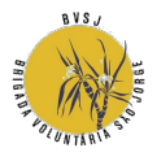 Brigada Voluntária São Jorge. O design apresenta um círculo amarelo com uma planta típica do cerrado desenhada em linhas escuras ao centro. O nome da brigada aparece contornando o círculo em letras pretas.