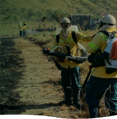 Dois brigadistas trocando informações durante o combate ao fogo. Um deles segura um equipamento de sopro enquanto o outro usa uma mochila de combate a incêndios. A área queimada está à esquerda da trilha, e mais brigadistas aparecem ao fundo.