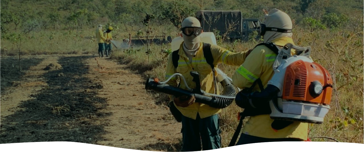 Brigadistas ambientais equipados com sopradores de ar e mochilas extintoras trabalham na contenção de incêndios florestais no cerrado. A vegetação seca e o solo queimado indicam a atuação recente do fogo. Ao fundo, outros brigadistas e um caminhão de apoio completam a cena.
