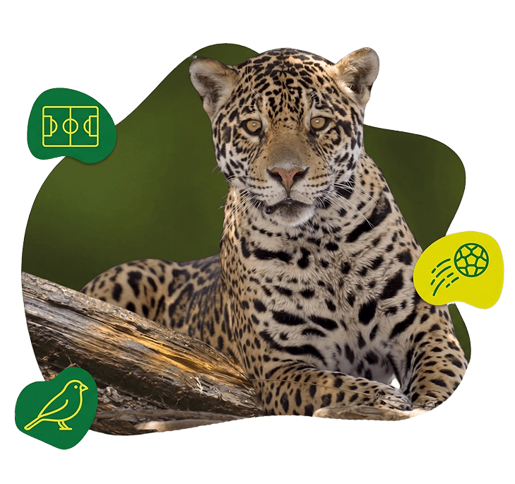 Onça-pintada deitada sobre um tronco de madeira, posicionada ao centro da composição e voltada para frente. O animal apresenta pelagem amarela com manchas pretas e expressão atenta. Ao fundo, uma forma gráfica orgânica em verde escuro envolve parcialmente a onça. Três ícones complementam a arte: um campo de futebol no canto superior esquerdo, um pássaro no canto inferior esquerdo e uma bola em movimento no lado direito. A composição combina elementos da fauna brasileira com referências ao esporte em um estilo gráfico moderno.